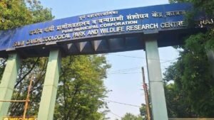 Rajiv Gandhi Zoological Park – Katraj Zoo