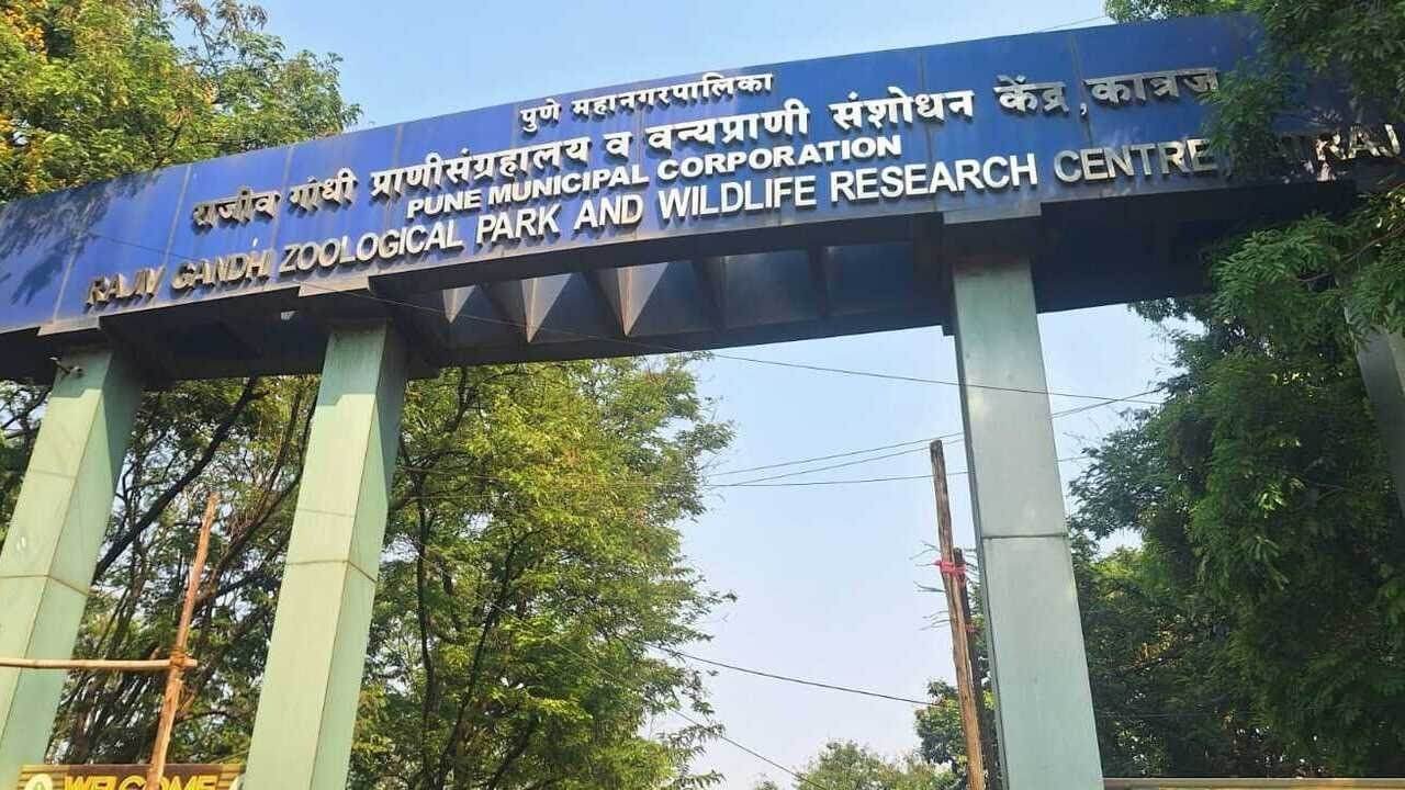 Rajiv Gandhi Zoological Park – Katraj Zoo